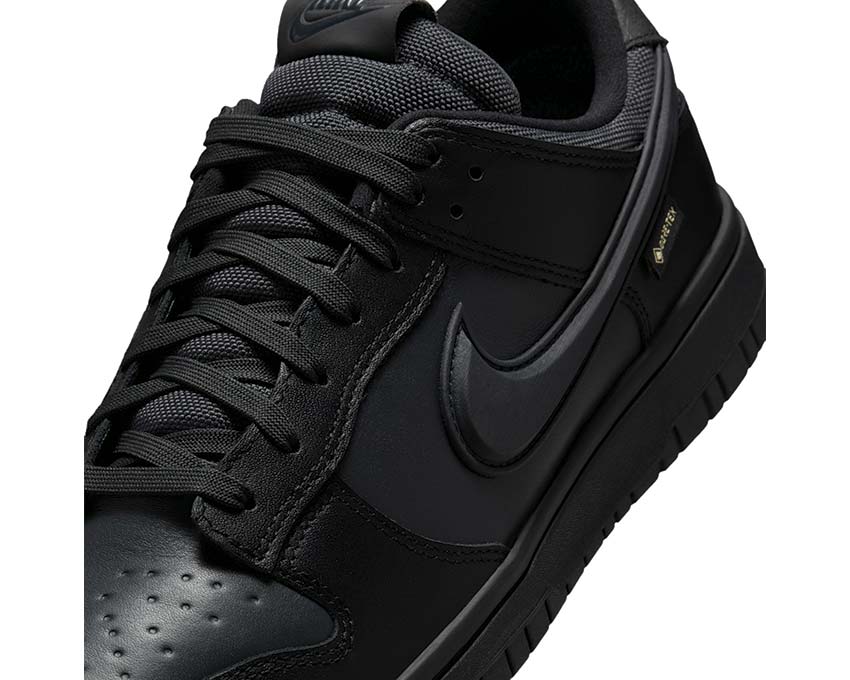 Nike Dunk Low GTX "Black" - Image 2